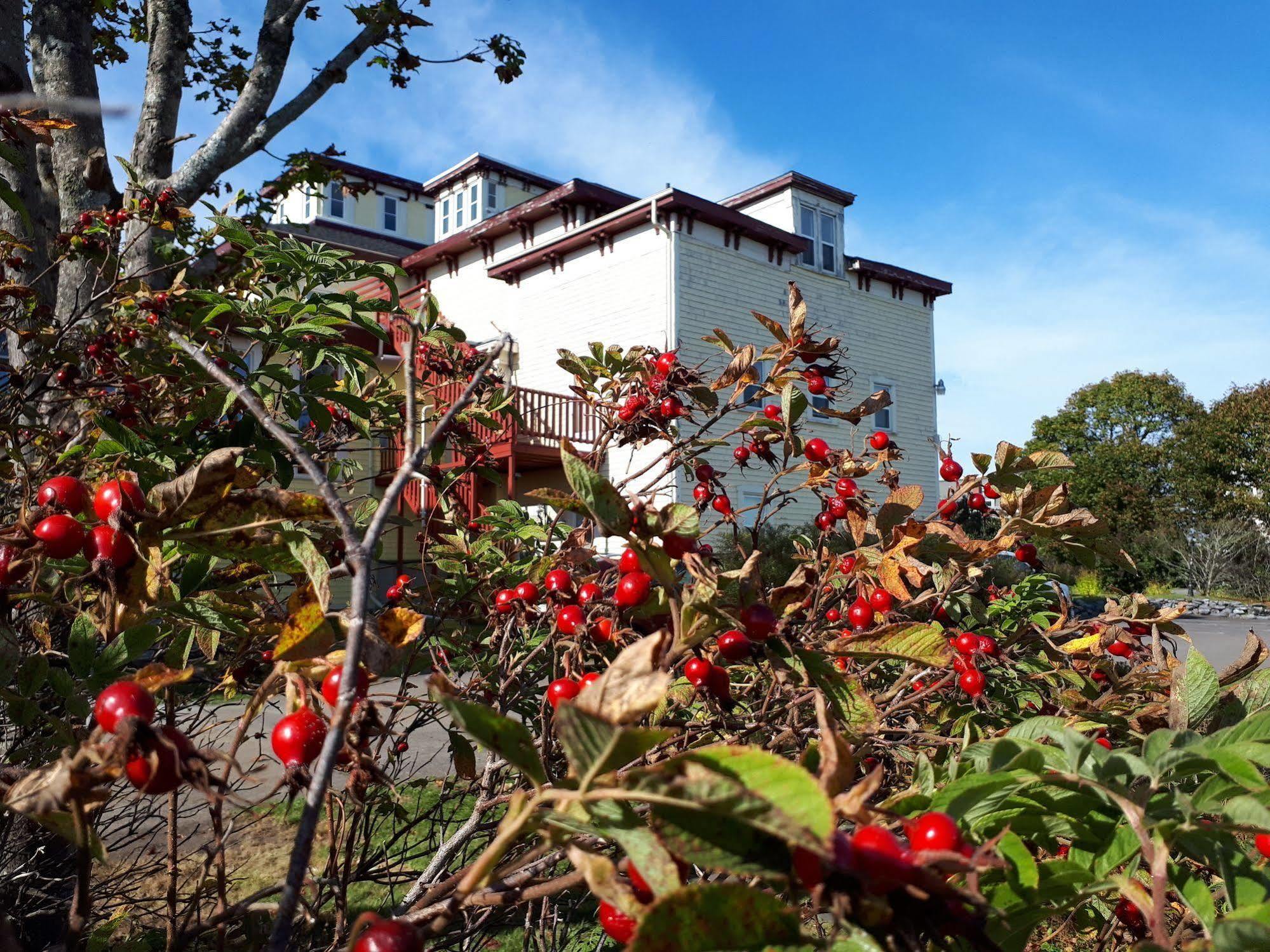 Homeport Historic B&B Saint John Dış mekan fotoğraf